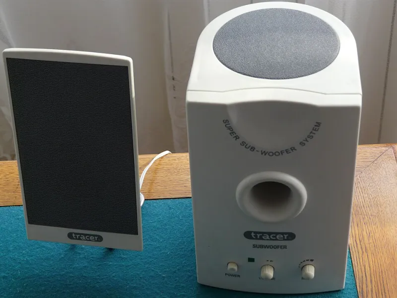 Speaker Killer: Inside the Bass Arms Race That's Turning Sound Systems Into Casualties